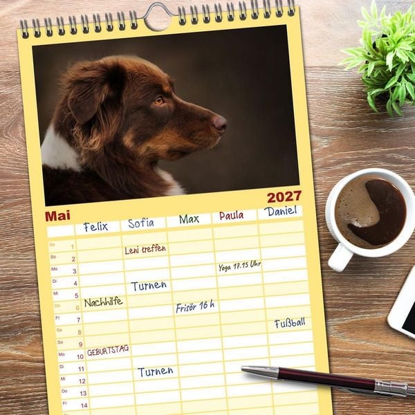 Produktbild: Familienplaner 2027 - Australian Shepherd - Treue Blicke, wilde Herzen mit 5 Spalten (Wandkalender, 21 x 45 cm) CALVENDO