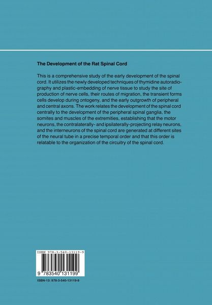 Produktbild: The Development of the Rat Spinal Cord