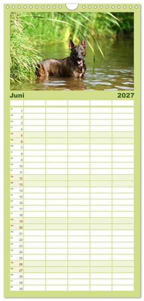 Produktbild: Familienplaner 2027 - Einmal Bullterrier - immer Bullterrier mit 5 Spalten (Wandkalender, 21 x 45 cm) CALVENDO