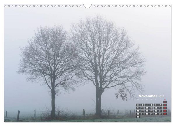 Produktbild: Die Dingdener Heide im Wandel der Jahreszeiten (Wandkalender 2026 DIN A3 quer), CALVENDO Monatskalender