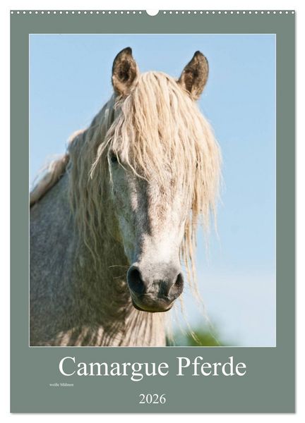 Produktbild: Camargue Pferde - wei&szlig;e M&auml;hnen (Wandkalender 2026 DIN A2 hoch), CALVENDO Monatskalender