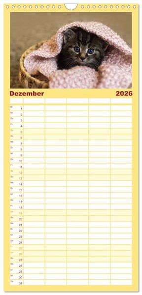 Produktbild: Familienplaner 2026 - Tierschutzkatzen vom TSV-Neuss - Gro&szlig;es Gl&uuml;ck auf sanften Pfoten mit 5 Spalten (Wandkalender, 21 x 45 cm) CALVENDO