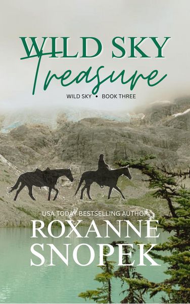 Produktbild: Wild Sky Treasure