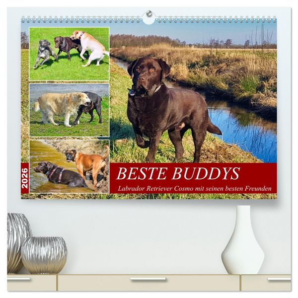 Produktbild: Beste Buddys (hochwertiger Premium Wandkalender 2026 DIN A2 quer), Kunstdruck in Hochglanz