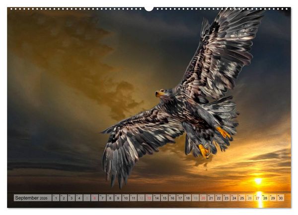 Produktbild: Faszinierende Greifv&ouml;gel hautnah (hochwertiger Premium Wandkalender 2026 DIN A2 quer), Kunstdruck in Hochglanz