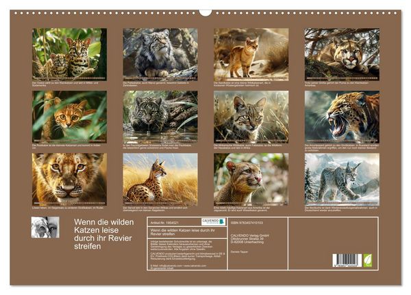Produktbild: Wenn die wilden Katzen leise durch ihr Revier streifen (Wandkalender 2026 DIN A2 quer), CALVENDO Monatskalender