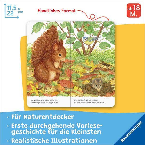 Produktbild: Ich bin das kleine Eichh&ouml;rnchen