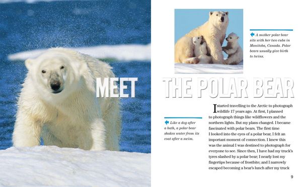 Produktbild: NAT GEO READER POLAR BEARS