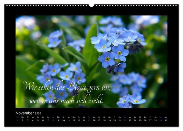Produktbild: Goethes Blau. Gedanken zur Farbe (Wandkalender 2026 DIN A2 quer), CALVENDO Monatskalender