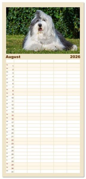 Produktbild: Familienplaner 2026 - Britische H&uuml;tehunde - Treue Freunde auf vier Pfoten mit 5 Spalten (Wandkalender, 21 x 45 cm) CALVENDO