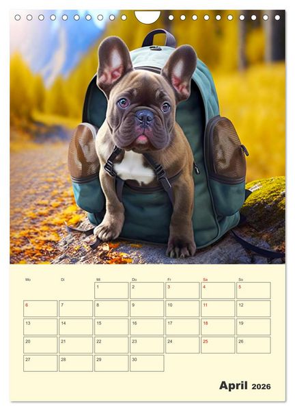 Produktbild: Lustige Flederm&auml;use. Franz&ouml;sische Bulldoggen bei der Freizeitgestaltung (Wandkalender 2026 DIN A4 hoch), CALVENDO Monatskalender