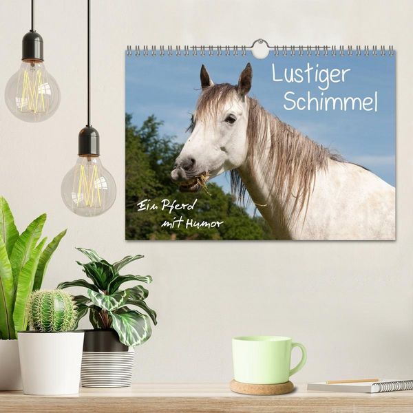 Produktbild: Lustiger Schimmel - ein Pferd mit Humor (Wandkalender 2027 DIN A4 quer), CALVENDO Monatskalender