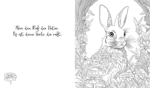 Produktbild: Zauberhafte Ausmalwelten