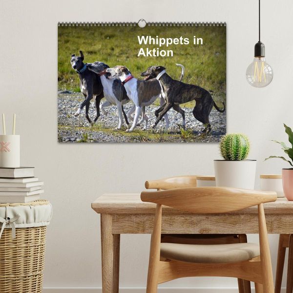 Produktbild: Whippets in Aktion (Wandkalender 2026 DIN A3 quer), CALVENDO Monatskalender