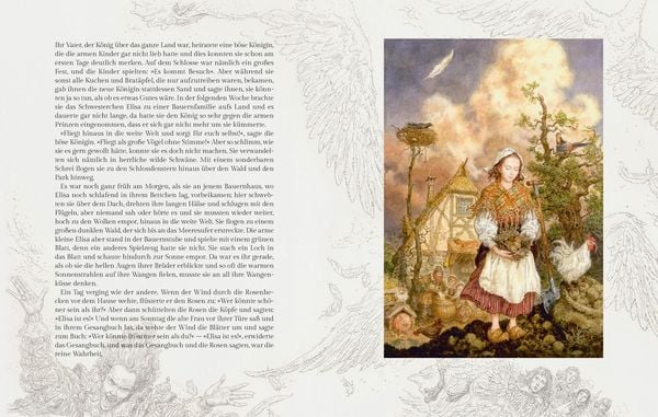 Produktbild: Die wilden Schw&auml;ne