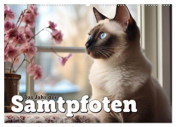Das Jahr der Samtpfoten (Wandkalender 2026 DIN A2 quer), CALVENDO Monatskalender