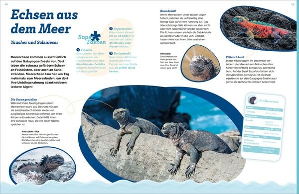 Produktbild: WAS IST WAS Echsen. Kleine Drachen hautnah