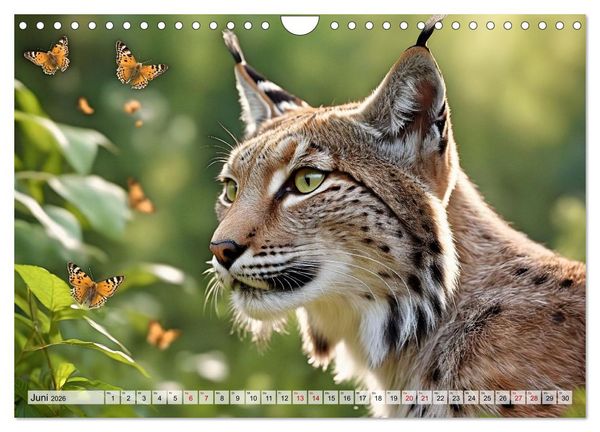 Produktbild: Auf den Spuren der Luchse (Wandkalender 2026 DIN A4 quer), CALVENDO Monatskalender