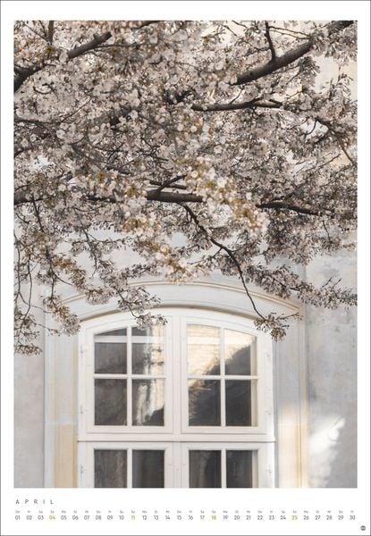 Produktbild: Mareike B&ouml;hmer: pure & simple Kalender 2027