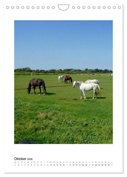 Produktbild: Borkum - Inseltr&auml;ume an der Nordsee (Wandkalender 2026 DIN A4 hoch), CALVENDO Monatskalender