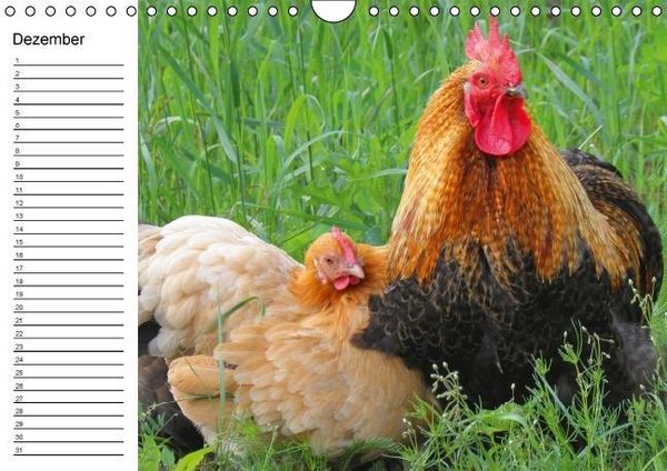 Produktbild: H&uuml;hner / Geburtstagskalender (Wandkalender immerw&auml;hrend DIN A4 quer)