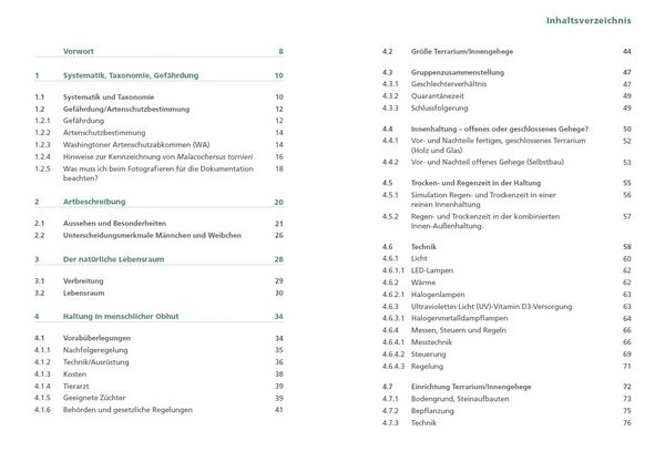 Produktbild: Spaltenschildkr&ouml;ten Malacochersus tornieri