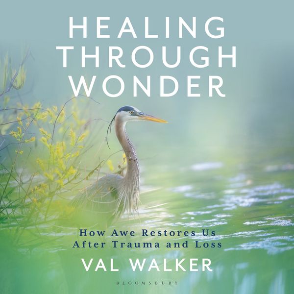 Produktbild: Healing Through Wonder