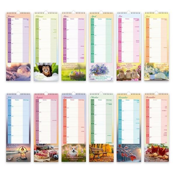 Produktbild: TR&Ouml;TSCH - Maxi-Streifenkalender Omas Kalender 2027