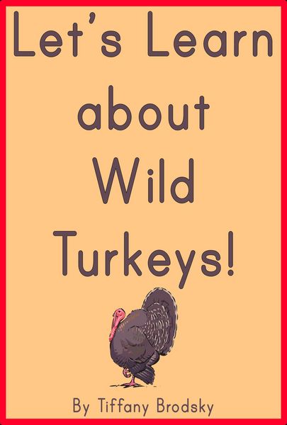 Produktbild: Let's Learn about Wild Turkeys!