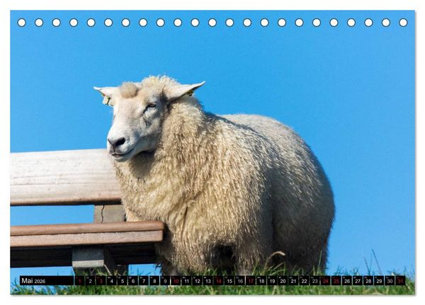 Produktbild: Gr&uuml;&szlig;e von Pellworm (Tischkalender 2026 DIN A5 quer), CALVENDO Monatskalender