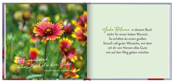 Produktbild: Ein Strau&szlig; voll guter W&uuml;nsche