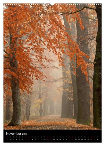 Produktbild: B&auml;ume - Stilles Leben (Wandkalender 2026 DIN A2 hoch), CALVENDO Monatskalender