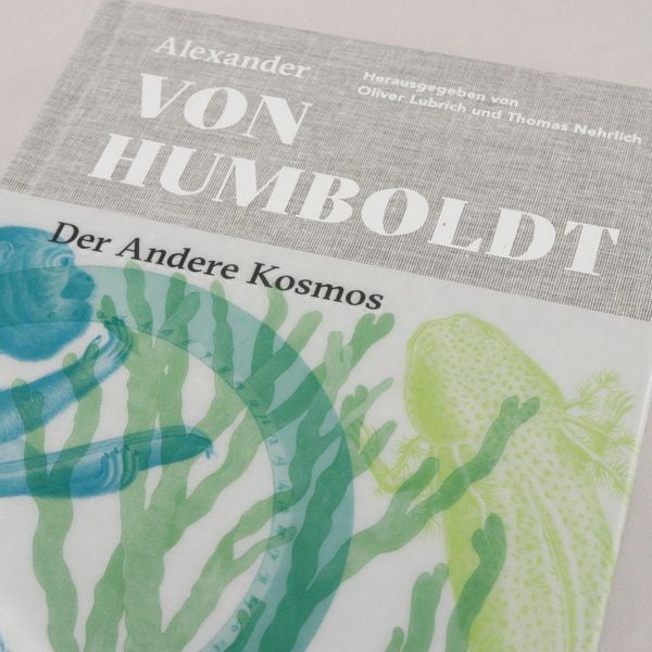 Produktbild: Der Andere Kosmos