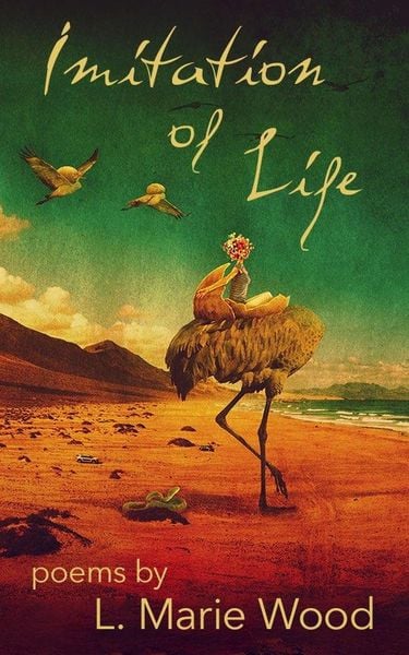 Produktbild: Imitation of Life