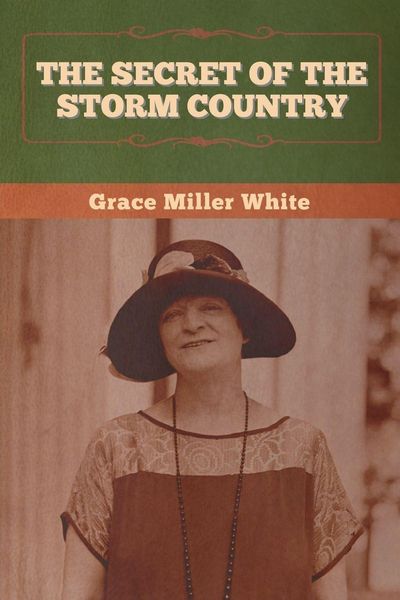 Produktbild: The Secret of the Storm Country