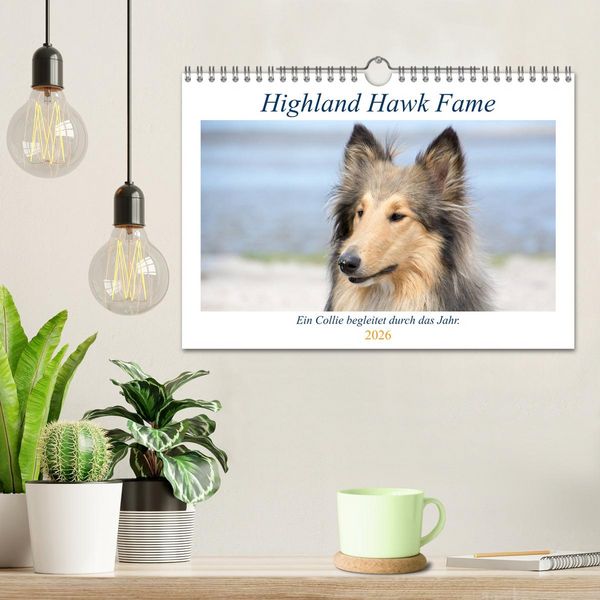Produktbild: Highland Hawk Fame - Ein Collie begleitet durch das Jahr (Wandkalender 2026 DIN A4 quer), CALVENDO Monatskalender