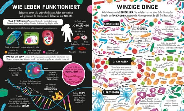 Produktbild: Puzzle & Buch: Stammbaum des Lebens