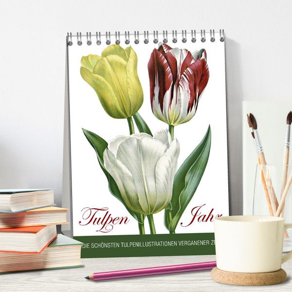 Produktbild: Tulpen - Jahr (Tischkalender 2026 DIN A5 hoch), CALVENDO Monatskalender