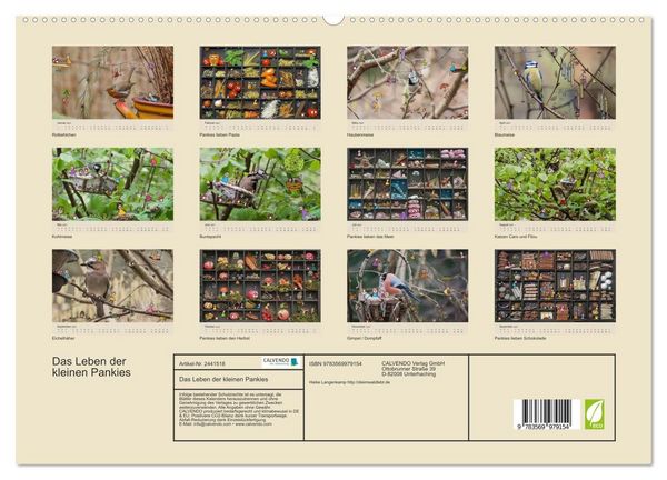 Produktbild: Das Leben der kleinen Pankies (hochwertiger Premium Wandkalender 2027 DIN A2 quer), Kunstdruck in Hochglanz