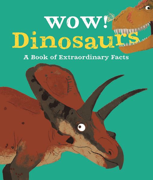 Produktbild: McCann, J: Wow! Dinosaurs