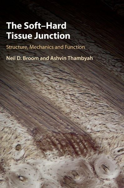 Produktbild: The Soft-Hard Tissue Junction