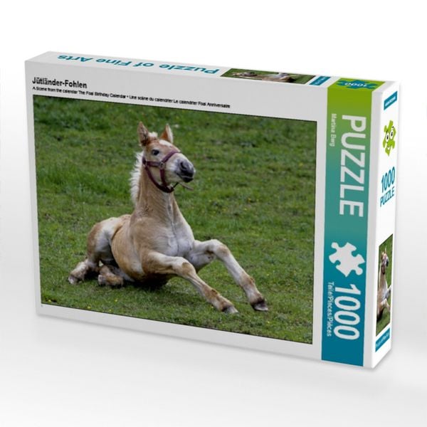 Produktbild: CALVENDO Puzzle J&uuml;tl&auml;nder-Fohlen | 1000 Teile Lege-Gr&ouml;&szlig;e 64x48cm Foto-Puzzle f&uuml;r gl&uuml;ckliche Stunden
