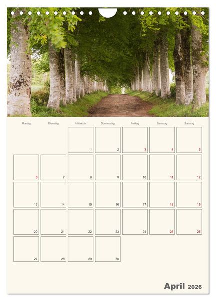 Produktbild: Sommertage in der Bretagne (Wandkalender 2026 DIN A4 hoch), CALVENDO Monatskalender