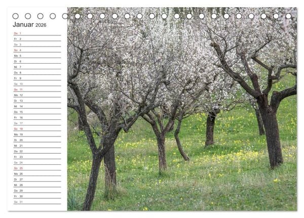 Produktbild: Emotionale Momente: Mandeln (Tischkalender 2026 DIN A5 quer), CALVENDO Monatskalender