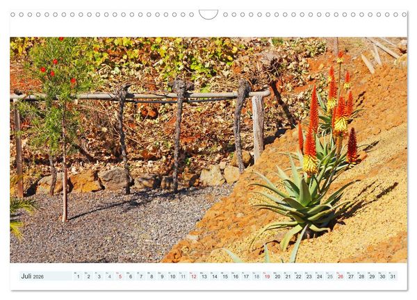 Produktbild: La Palma. Wandern, Flanieren und Genie&szlig;en (Wandkalender 2026 DIN A3 quer), CALVENDO Monatskalender