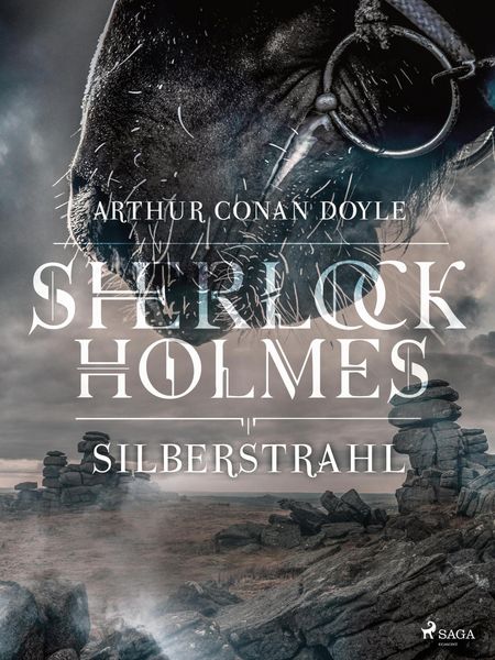 Produktbild: Silberstrahl