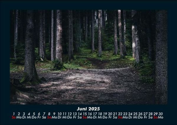 Produktbild: Waldzauber 2025 Fotokalender DIN A5