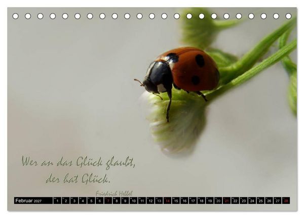 Produktbild: Das kleine, gro&szlig;e Gl&uuml;ck (Tischkalender 2027 DIN A5 quer), CALVENDO Monatskalender