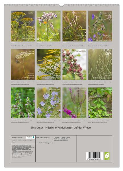 Produktbild: Unkr&auml;uter - N&uuml;tzliche Wildpflanzen auf der Wiese (hochwertiger Premium Wandkalender 2026 DIN A2 hoch), Kunstdruck in Hochglanz