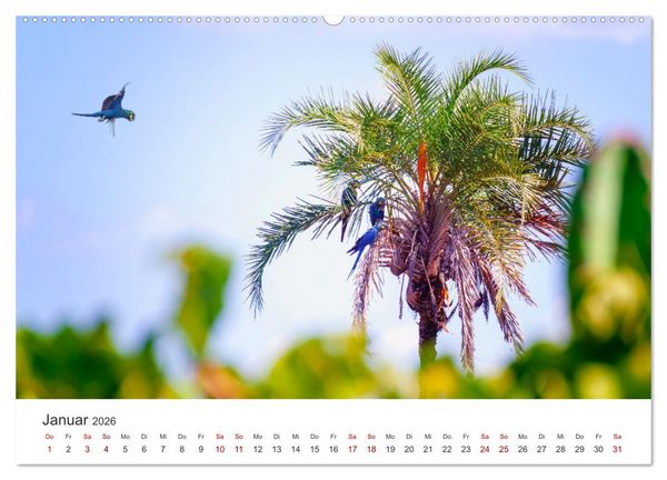 Produktbild: Brasilien - Karnevale, Fu&szlig;ball und Regenw&auml;lder. (hochwertiger Premium Wandkalender 2026 DIN A2 quer), Kunstdruck in Hochglanz